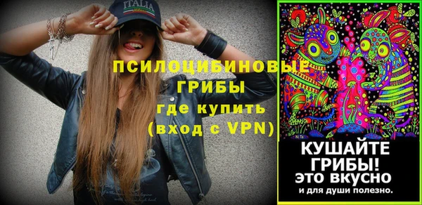 spice Арсеньев