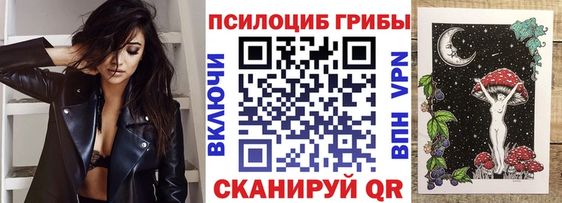 сколько стоит  Фатеж  omg ТОР  Псилоцибиновые грибы Psilocybe 