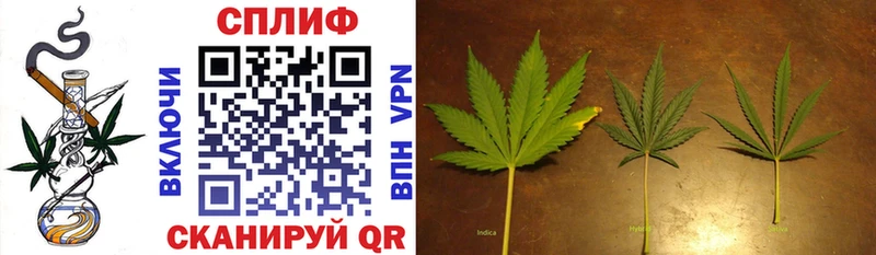 купить наркотик  Фатеж  Конопля White Widow 